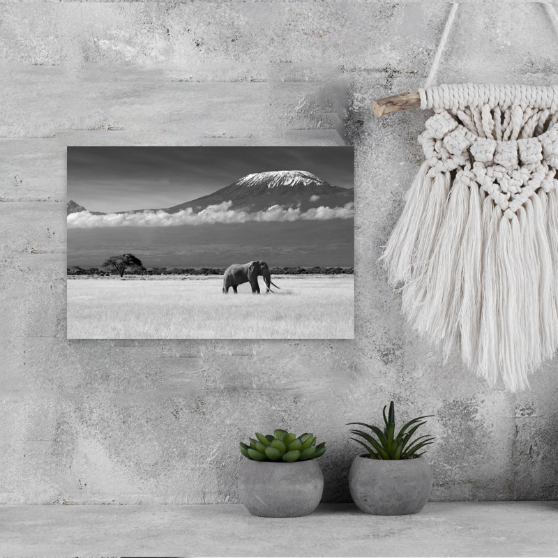 Print, 30.48cm H x 45.72cm W