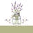 Devia Swag 58'' W Kitchen Curtain in-144431032