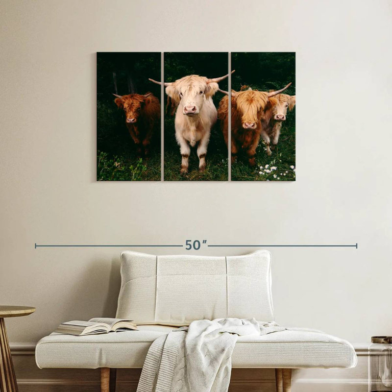 Light Haired Highland Cows, 24" H x 38" W