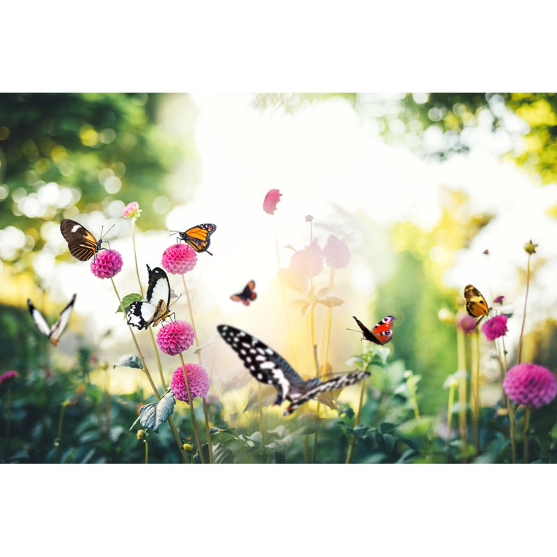 Flowers With Butterflies by Borchee - No Frame Art Prints on Canvas, 30cm H x 46cm W