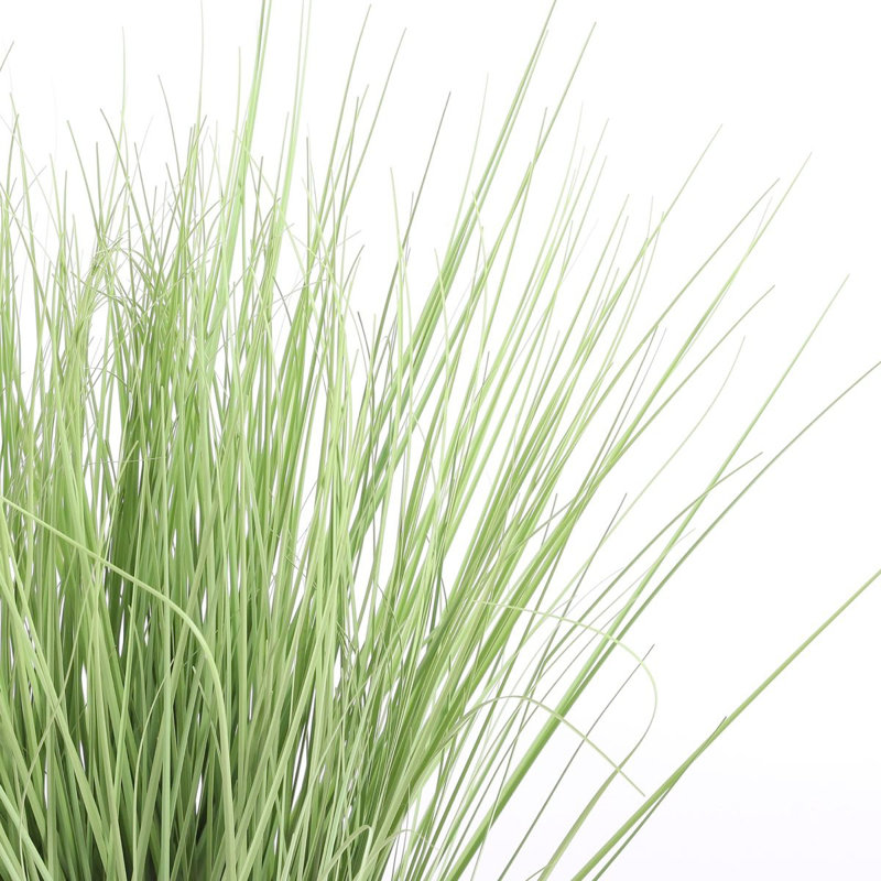 68cm Grass in Pot