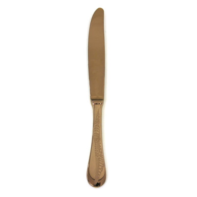 Caccia Stainless Steel Dinner Knife
