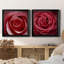 Wild Wild - 2 pièces encadrées sur toile-314267092-314267091