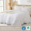 Ensemble de couette Suncomfy Ruffle Seersucker pour lit queen, style shabby chic, blanc, 3 pièces, ambiance romantique champêtre, ultra doux et léger, couette moelleuse toutes saisons-137128701-137128702