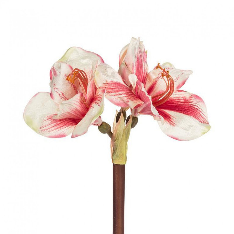Amaryllis avec 3 fleurs artificielles, Rose