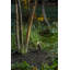 Hardy Island 4W MR16 LED Spot Light-1181529003-1181529002