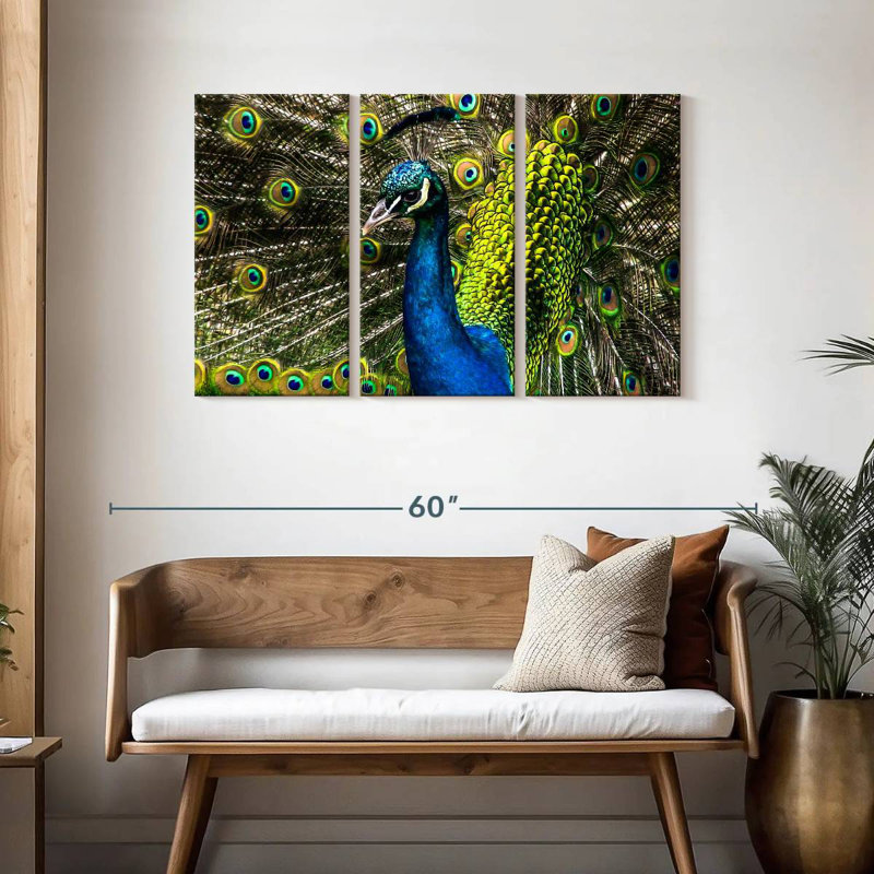 Brampt Peacock's Pure Beauty, 28" H x 45" W