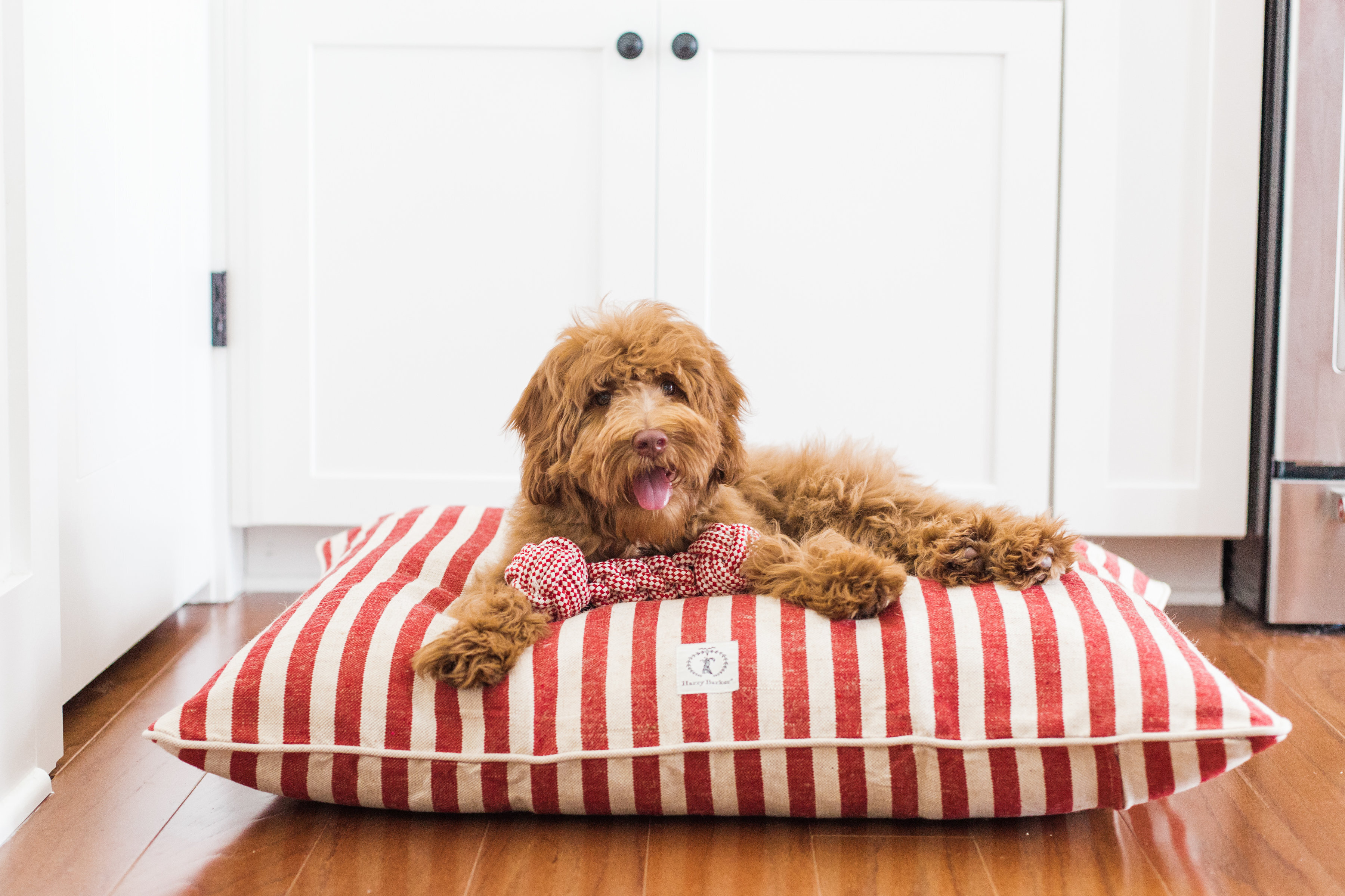 Harry Barker Striped Cotton Pet Bed