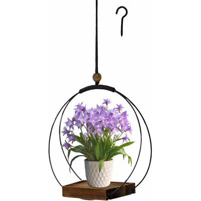 Hanging Planter For Indoor Plants, Black Plant Hanger Indoor With Sturdy Wood Base, Modern Boho Macrame Plant Hanger For 3-5.5 Inch Pot, Hanging Wall Ceiling Window Home Decor (Pots Not Included)