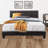 Erin Upholstered Standard Bed