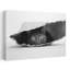 «Curious Black Cat», art mural contemporain-232649732