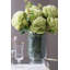 Tige de pivoine