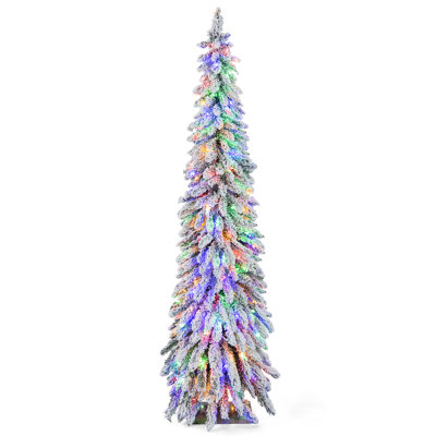 Lighted Christmas Tree