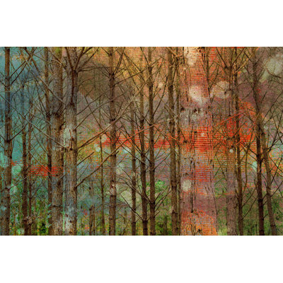 Annegreth " Through the Trees " Print