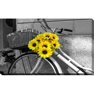 " Flowers On Bike "