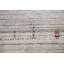 Tapis indien Handamade Gabbeh 8 x 10