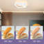Dalonte LED Flush Mount-952256174