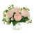 Rose / blanc