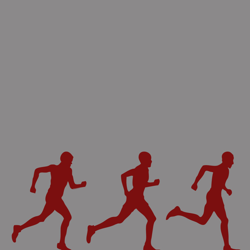 Moneta Sports Non-Wall Damaging Wall Decal, Cranberry