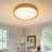 20" 1 - Light Modern Flush Mount Ceiling Light Fixture-1004278721