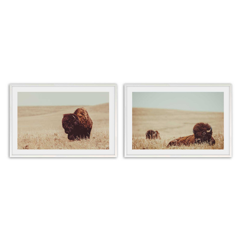 Prairie Bisons, ensemble de 2 impressions, Cadre opaque blanc, H 12 po x l 16 po