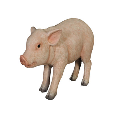 New Born Pig Life Size Statue