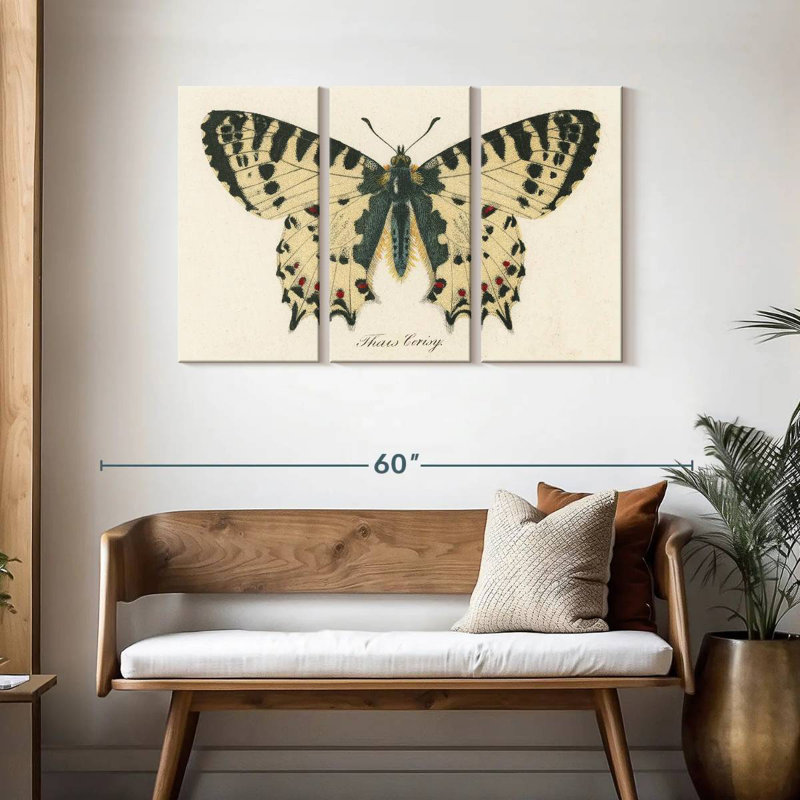 Brampt Natures Butterfly I, 28" H x 45" W