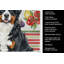 Serviette de cuisine bouvier bernois-322069987