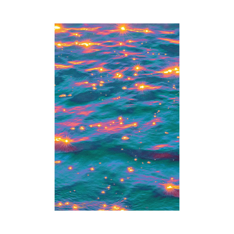 Force Of Nature by Nathan Head - Print on Canvas, 66.04cm H x 45.72cm W x 3.81cm D, Black Framed