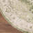 Haydel Oriental Machine Washable Power Loom Polyester Area Rug in Ivory/Green-97841432