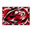 Tapis intérieur et extérieur Scarlet Tempest-1041234479