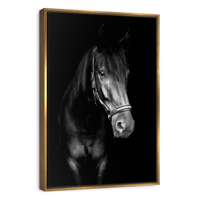 Black Horse In The Dark