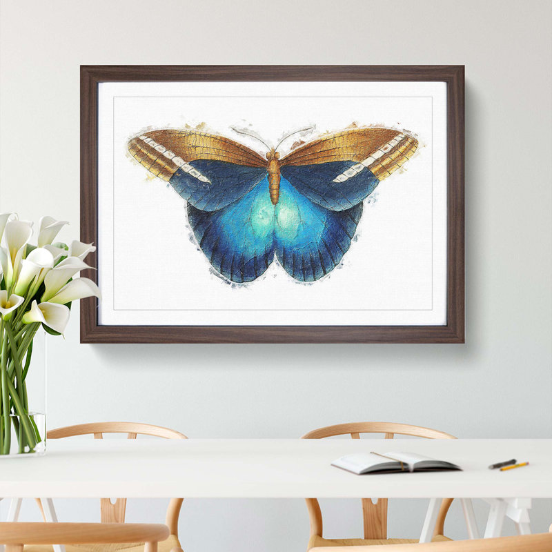 Idomeneus Butterfly by George Shaw - Framed Print, 27cm H x 36cm W x 2cm D, Walnut Framed