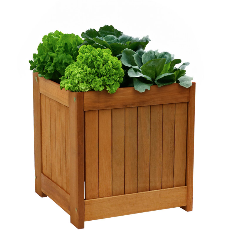 Boîte à fleurs d'extérieur carrée en bois Meranti brun 16 po x 15,75 po x 18 po Delaire, 1