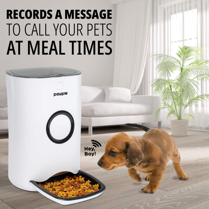 Mangeoire automatique pour animaux