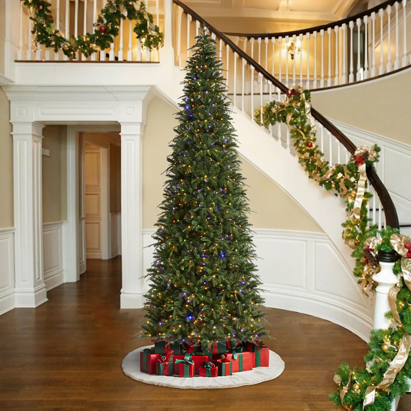 Sapin de Noël vert Aldred Radiant Evergreen, 11'