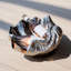 Nickel Plated Shell Wine Cooler