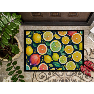 Tapis d'intérieur ou d'extérieur 24 x 36