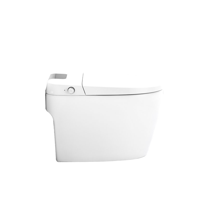 Toilette blanche intelligente avec buse autonettoyante, siège chauffant, affichage à DEL, nuit, fonction de lavage massant femelle