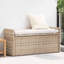 Rattan Storage Bench-1107979843