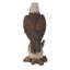 Statue aigle à tête blanche sur souche-23542753
