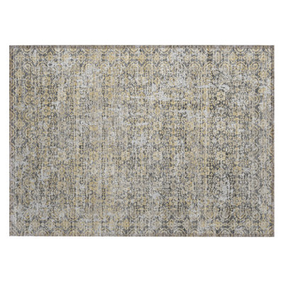 Machine Washable Indoor/Outdoor Chantille ACN2931 Global Rug
