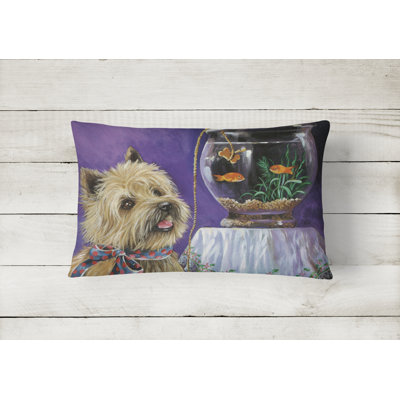 Outdoor Rectangular Pillow Cover & Insert