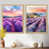 Natural Picture Framed