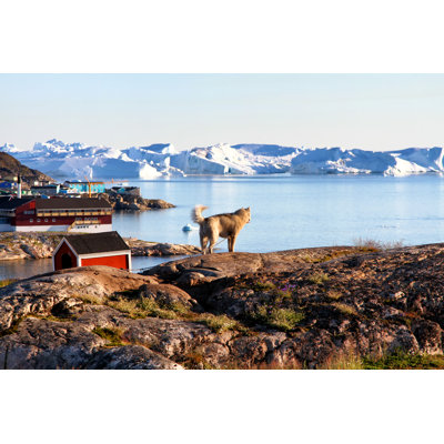 Greenland Dog - Wrapped Canvas Print