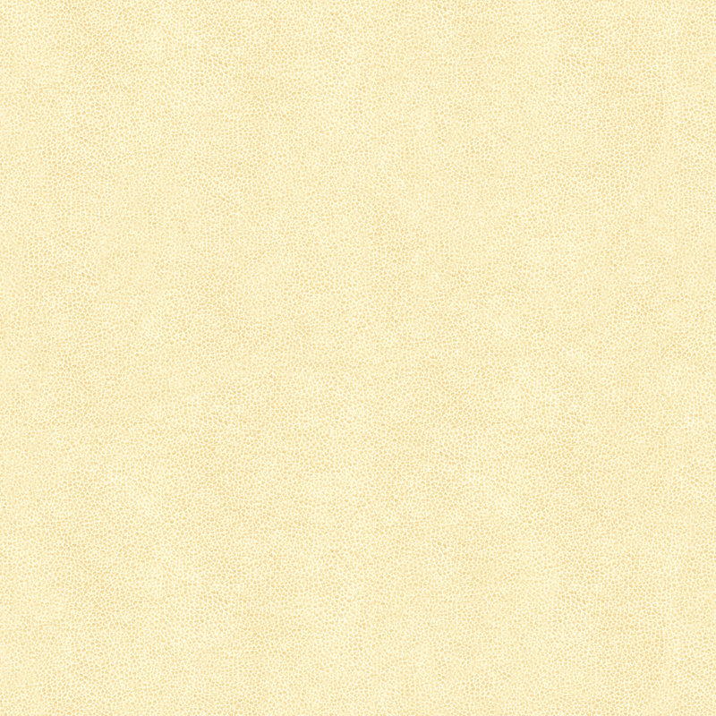 Abilene Fabric, Fossil