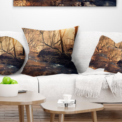 Coussin Forest Creek