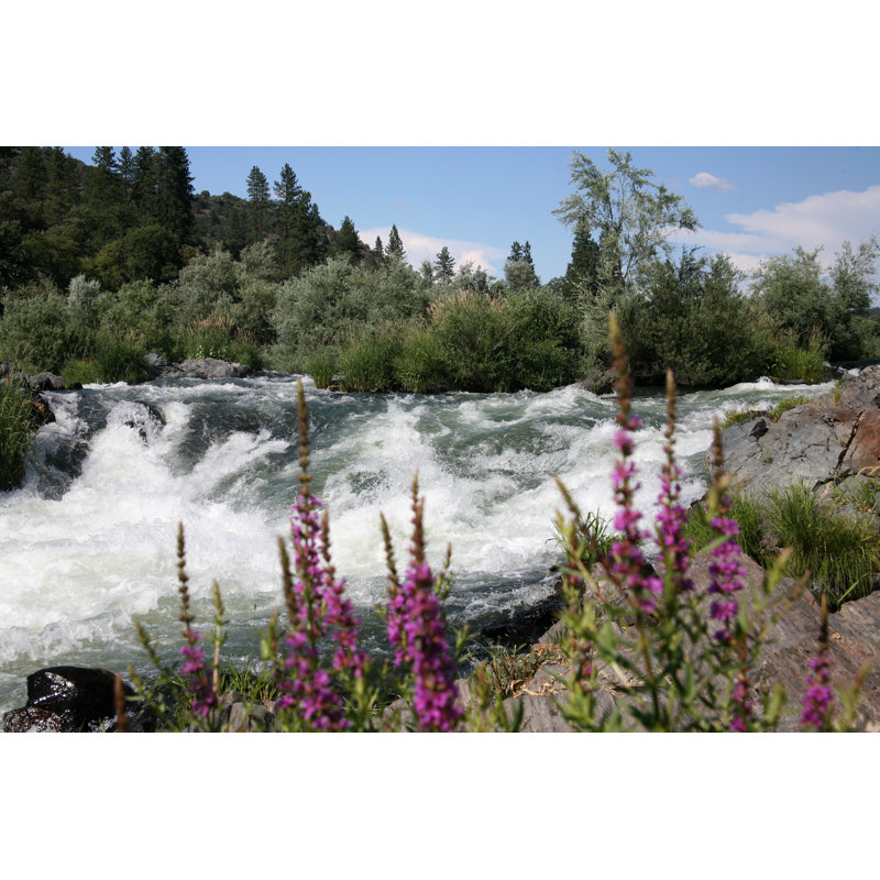 Rogue River - Photographie sur toile tendue, H 12 po x l 8 po