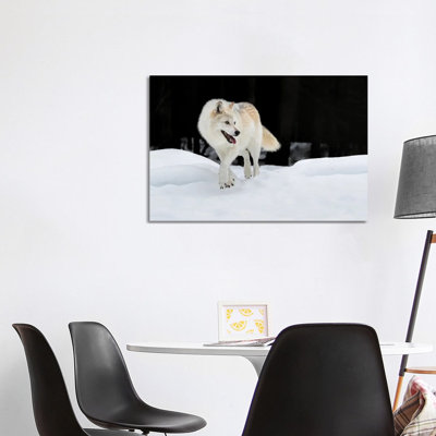 Out Of The Dark by Jun Zuo - Wrapped Canvas Print