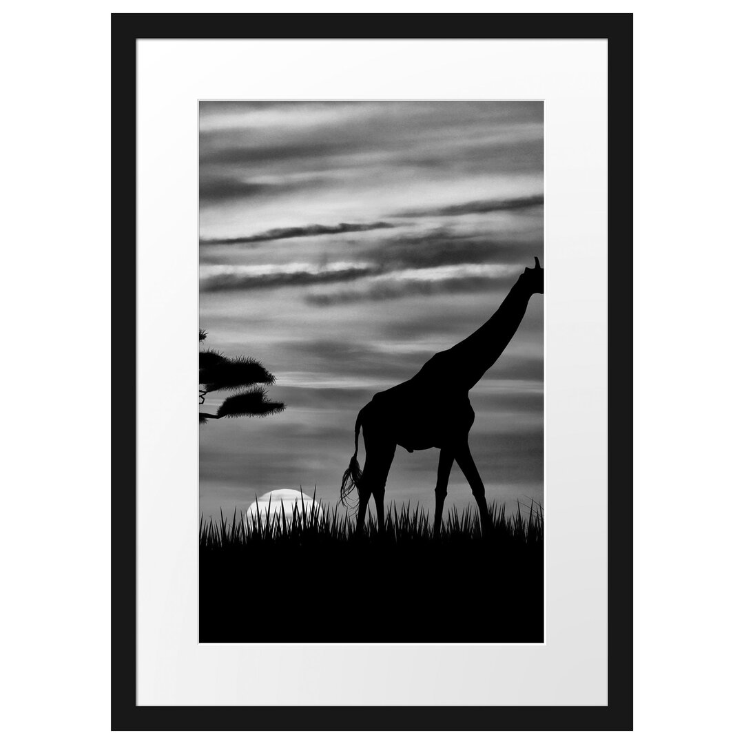 Gerahmtes Poster Giraffe im Sonnenuntergang